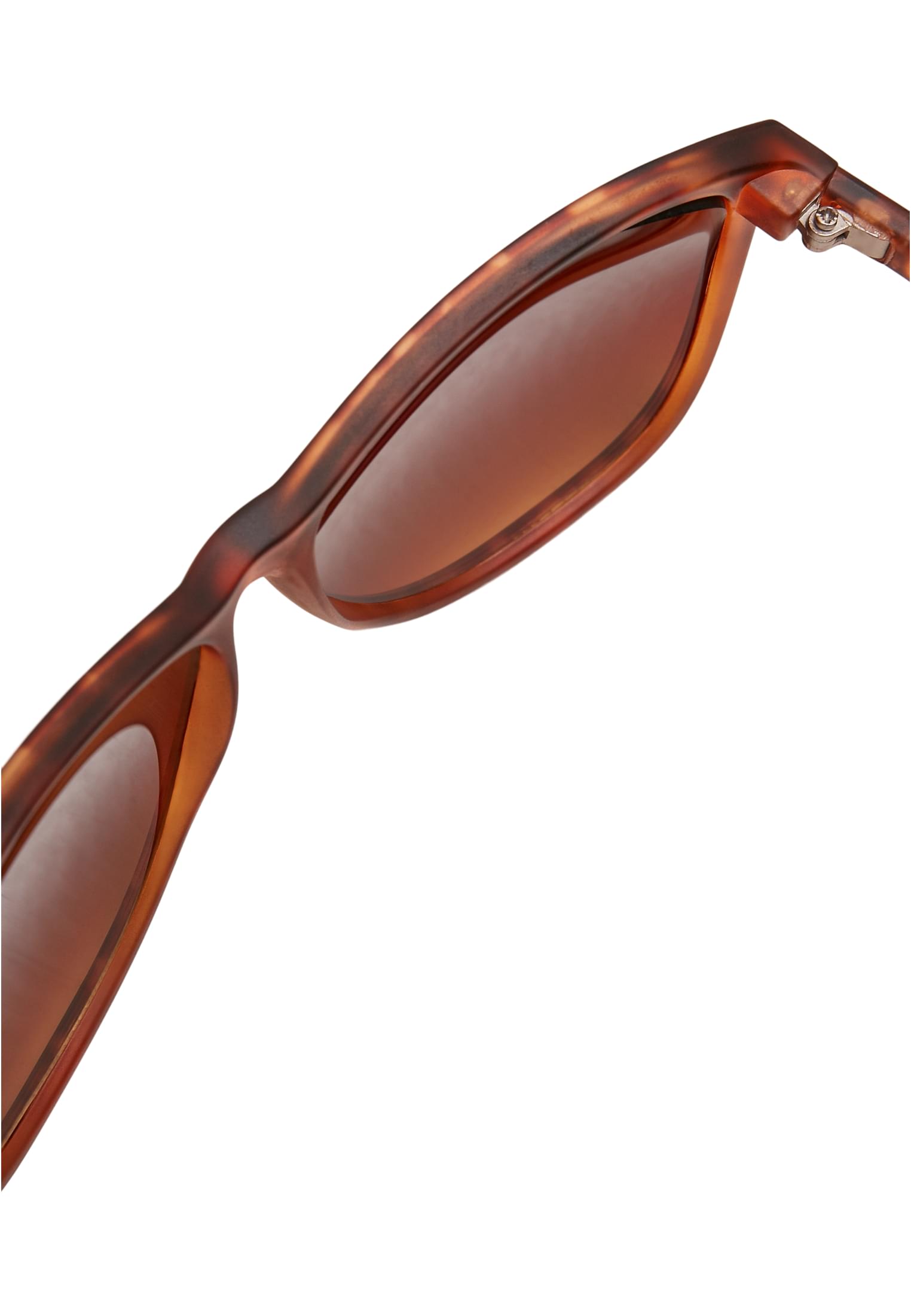Sunglasses Chirwa UC | brown leo