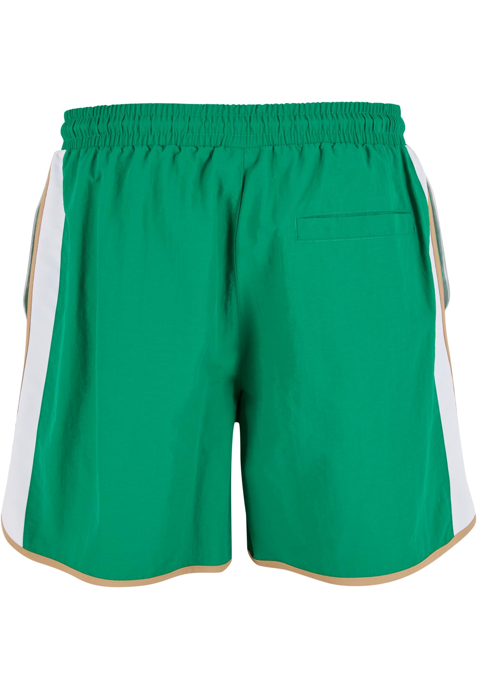 Retro Look Swim Shorts | froggreen