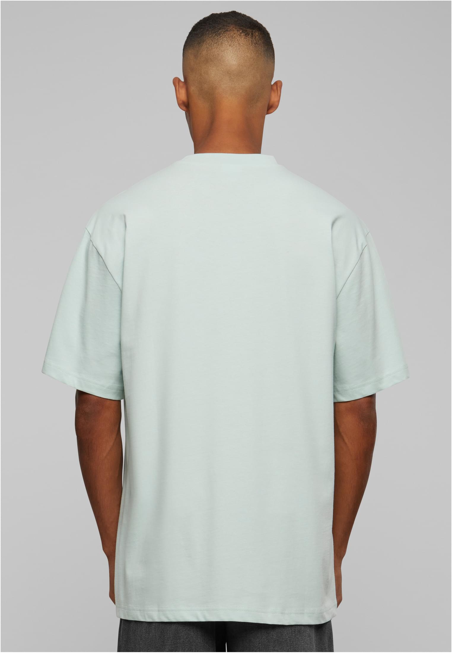 Tall Tee 2-Pack | frostmint+white