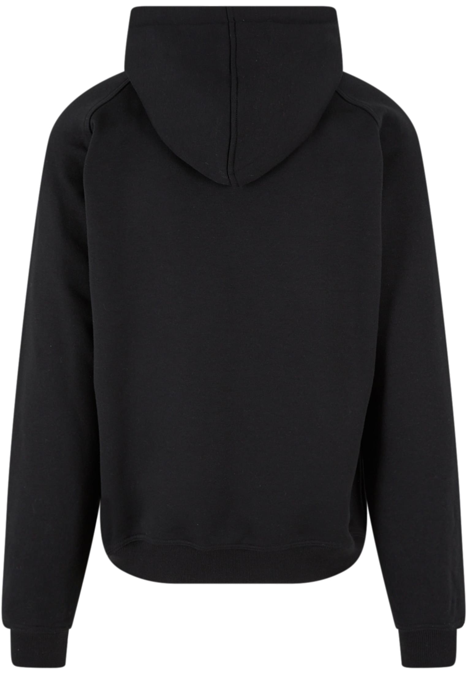 Zip Hoody | black