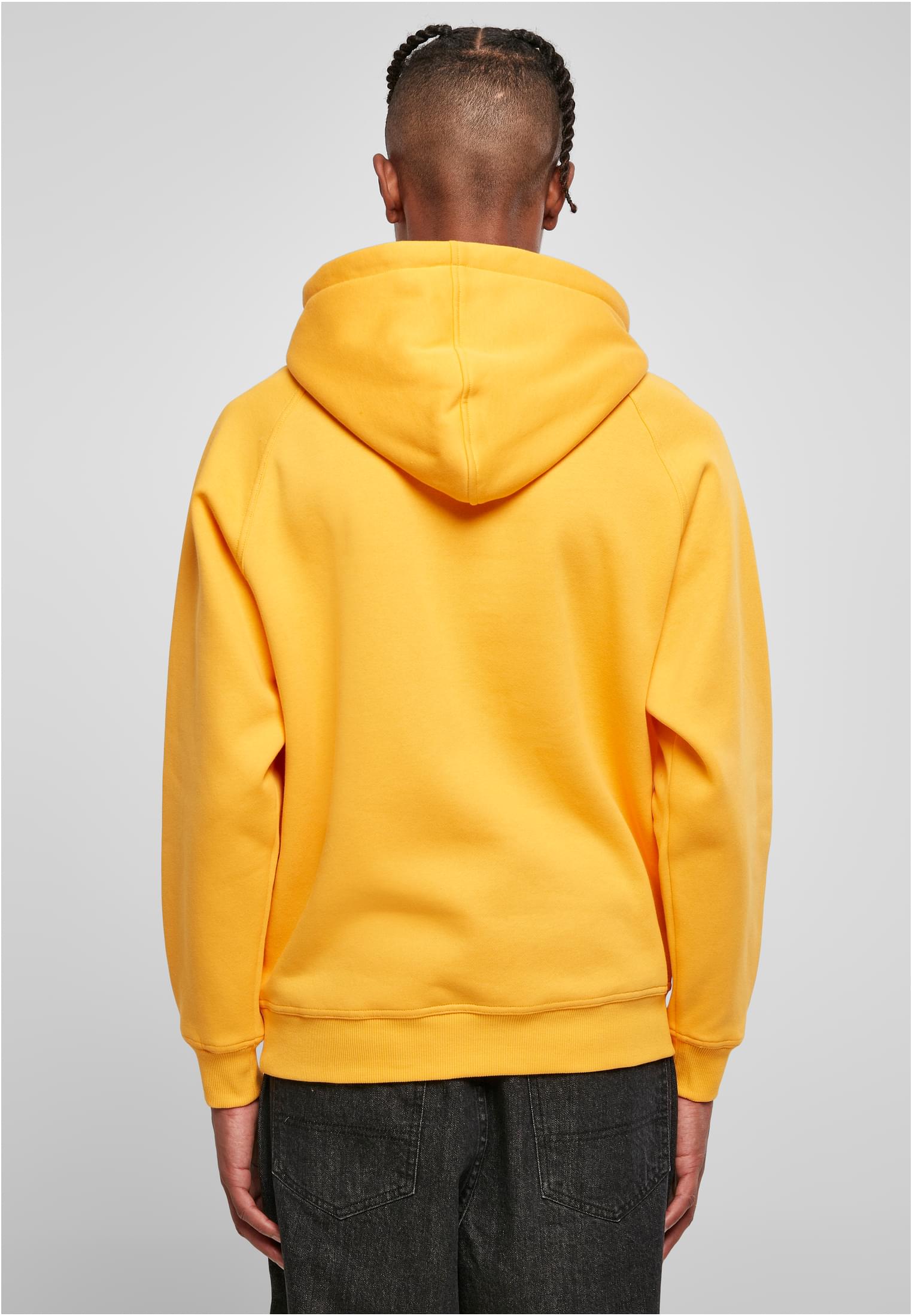 Blank Hoody | magicmango