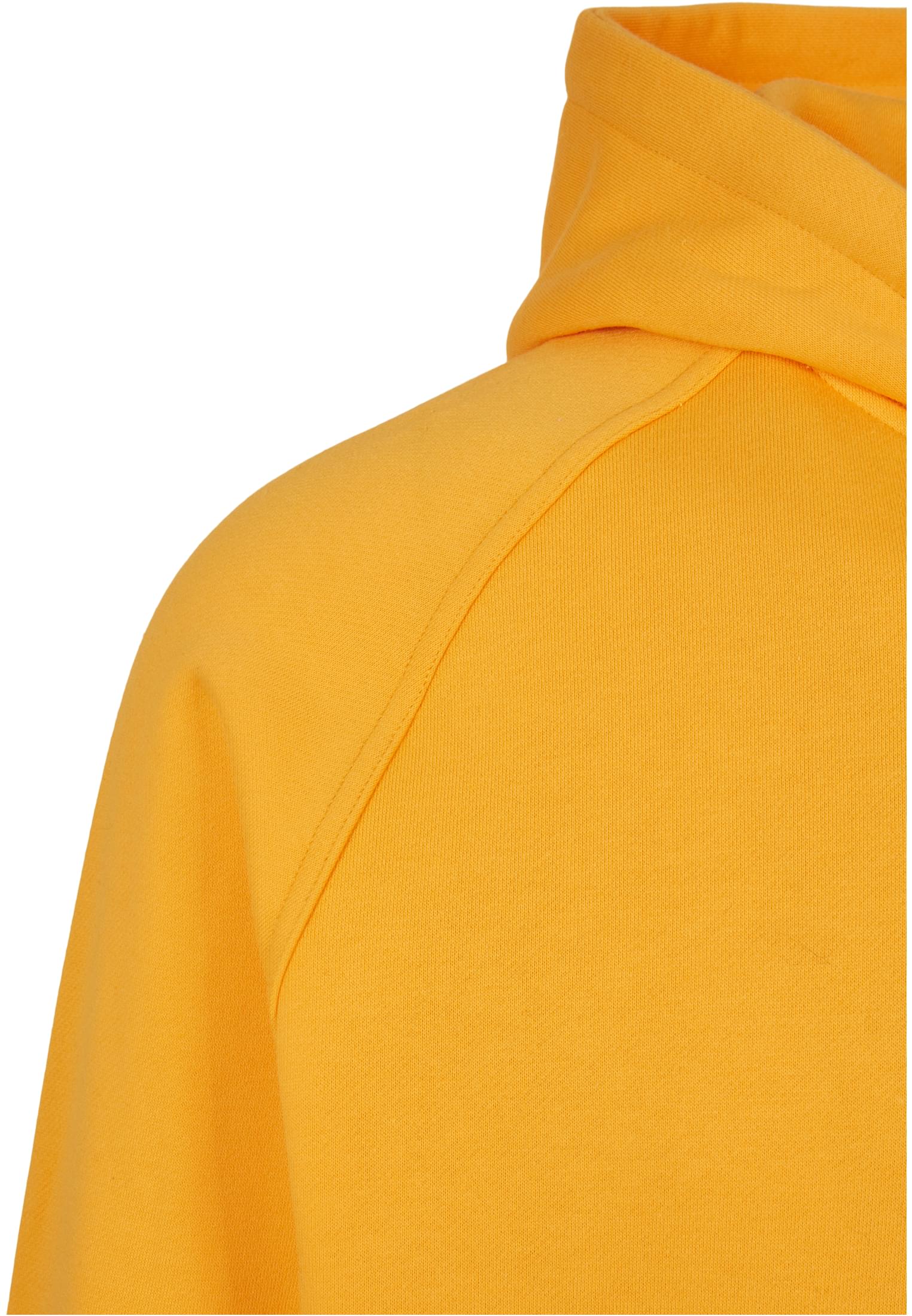 Blank Hoody | magicmango