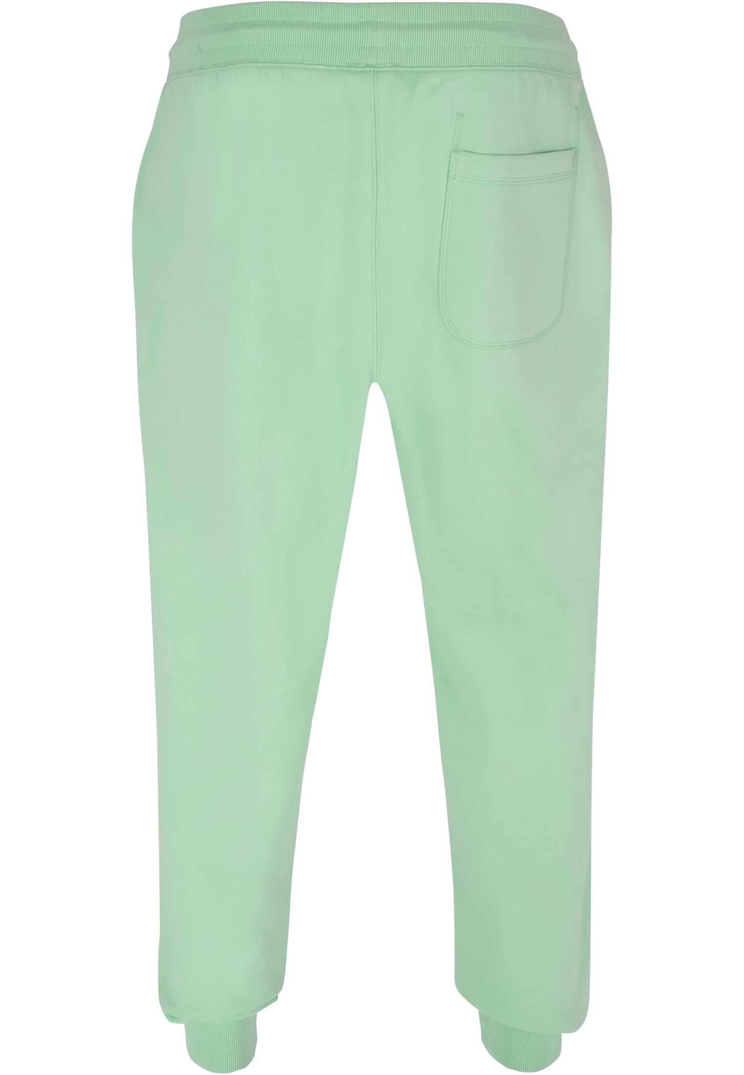 Basic Sweatpants | neo mint