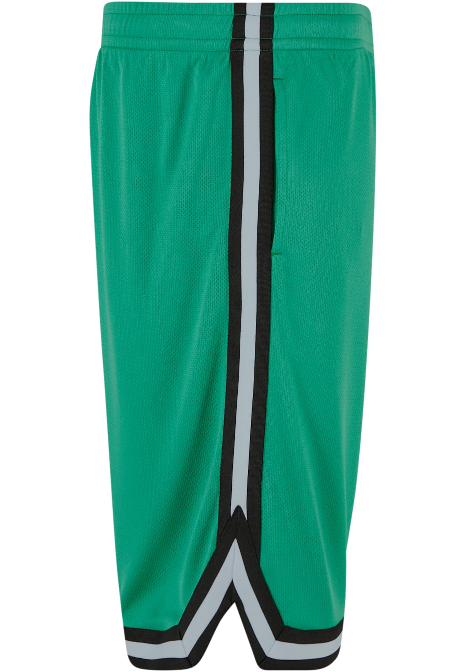 Stripes Mesh Shorts | ferngreen/black/white