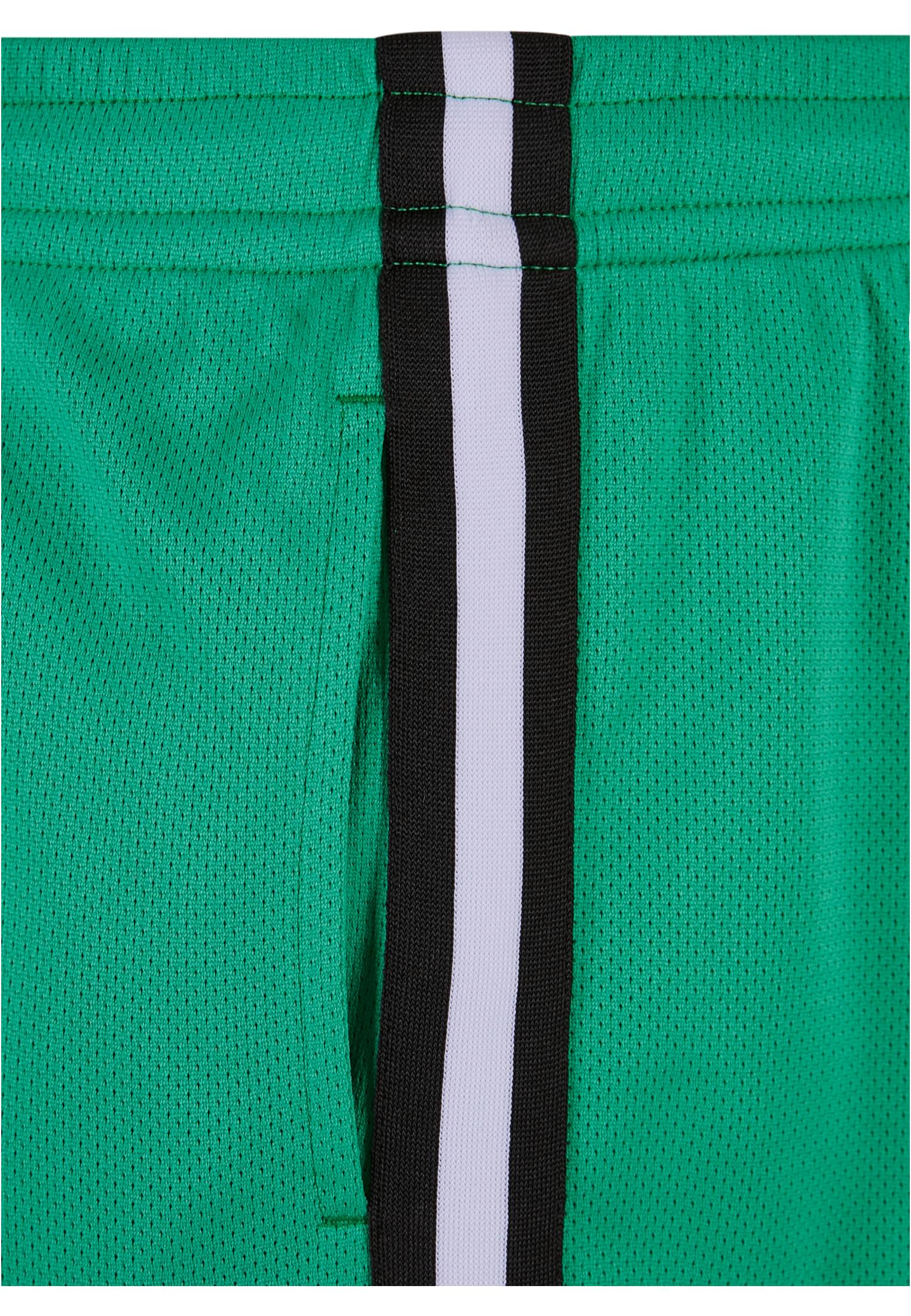 Stripes Mesh Shorts | ferngreen/black/white