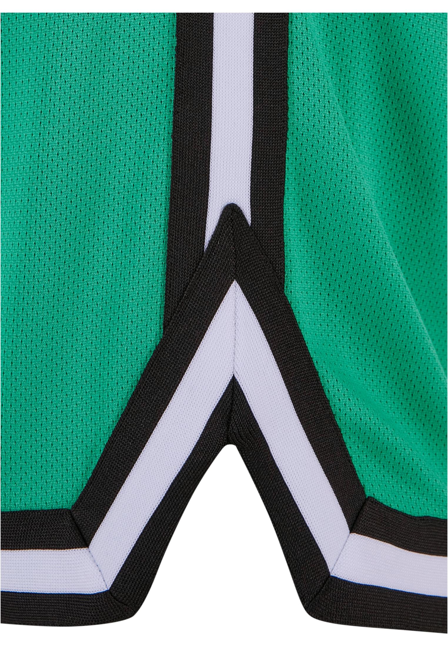 Stripes Mesh Shorts | ferngreen/black/white