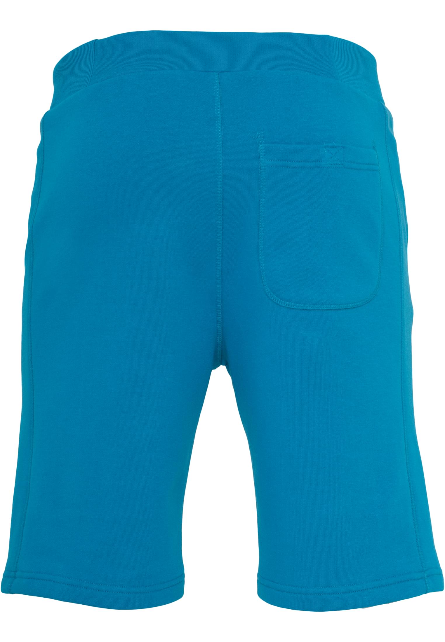 Light Fleece Sweatshorts | turquoise