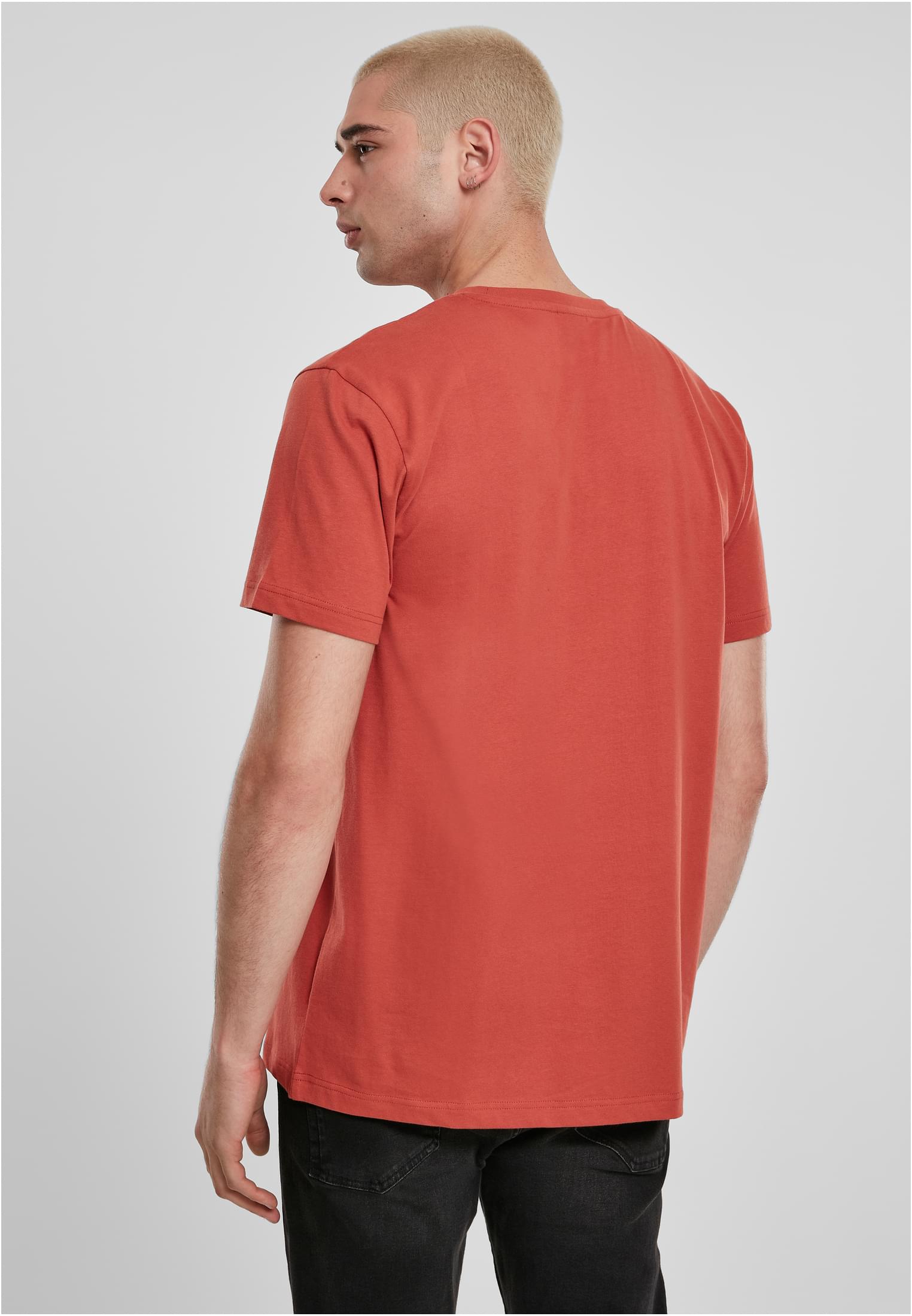 Basic Tee | burned red