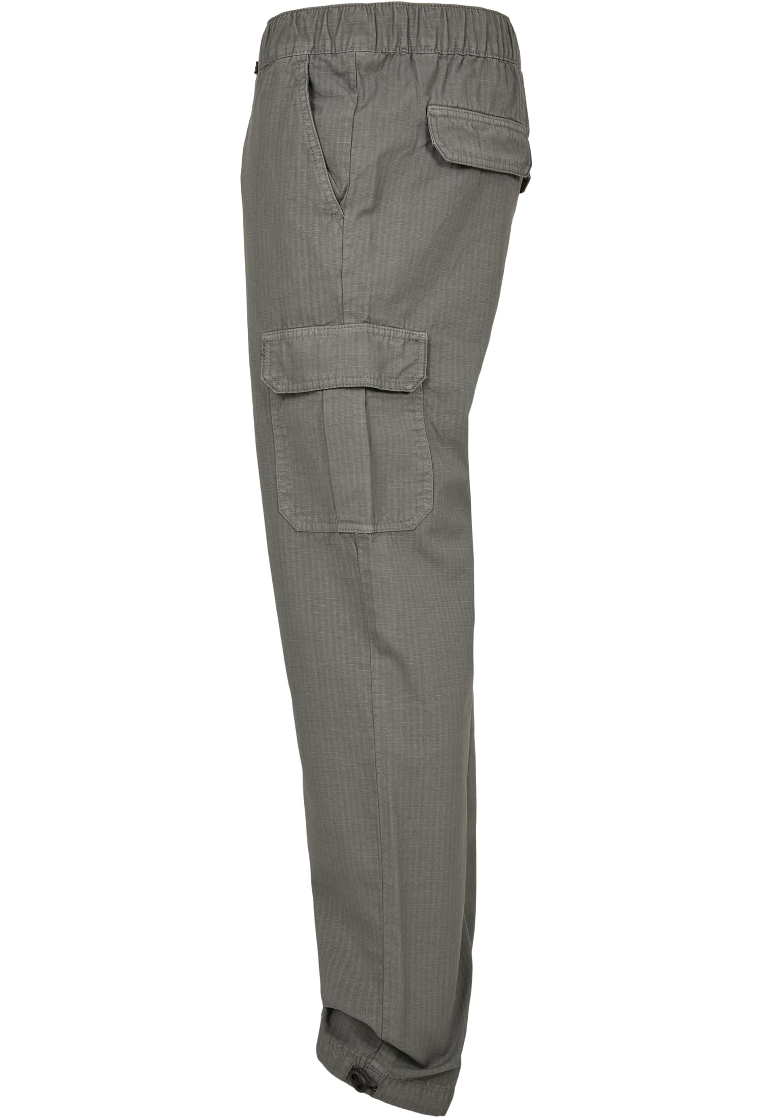 Ripstop Cargo Pants | asphalt