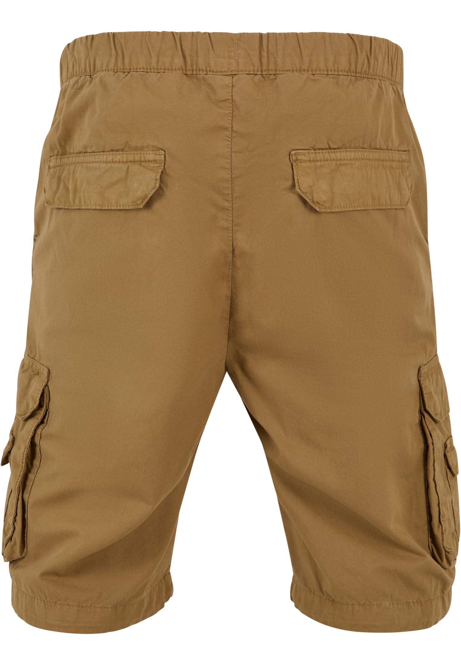 Double Pocket Cargo Shorts | darksand