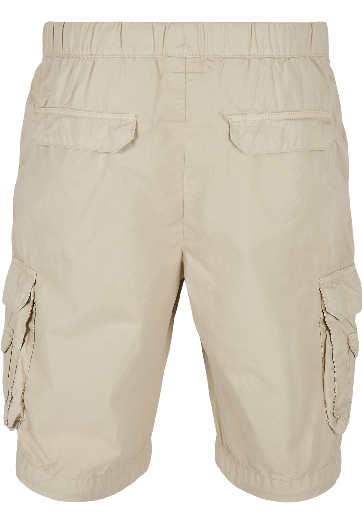 Double Pocket Cargo Shorts | concrete