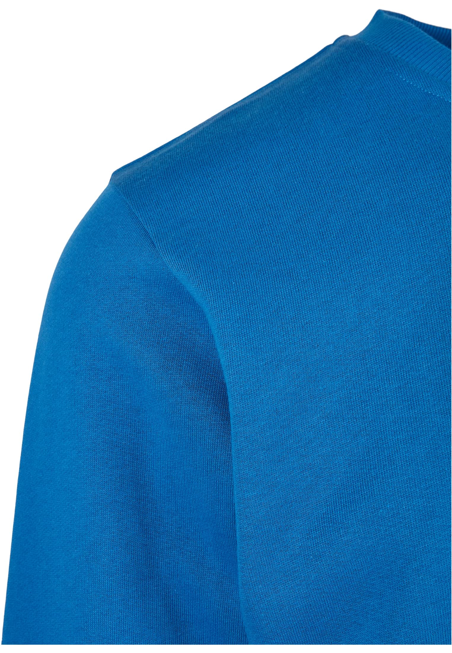 Organic Basic Crew | sporty blue