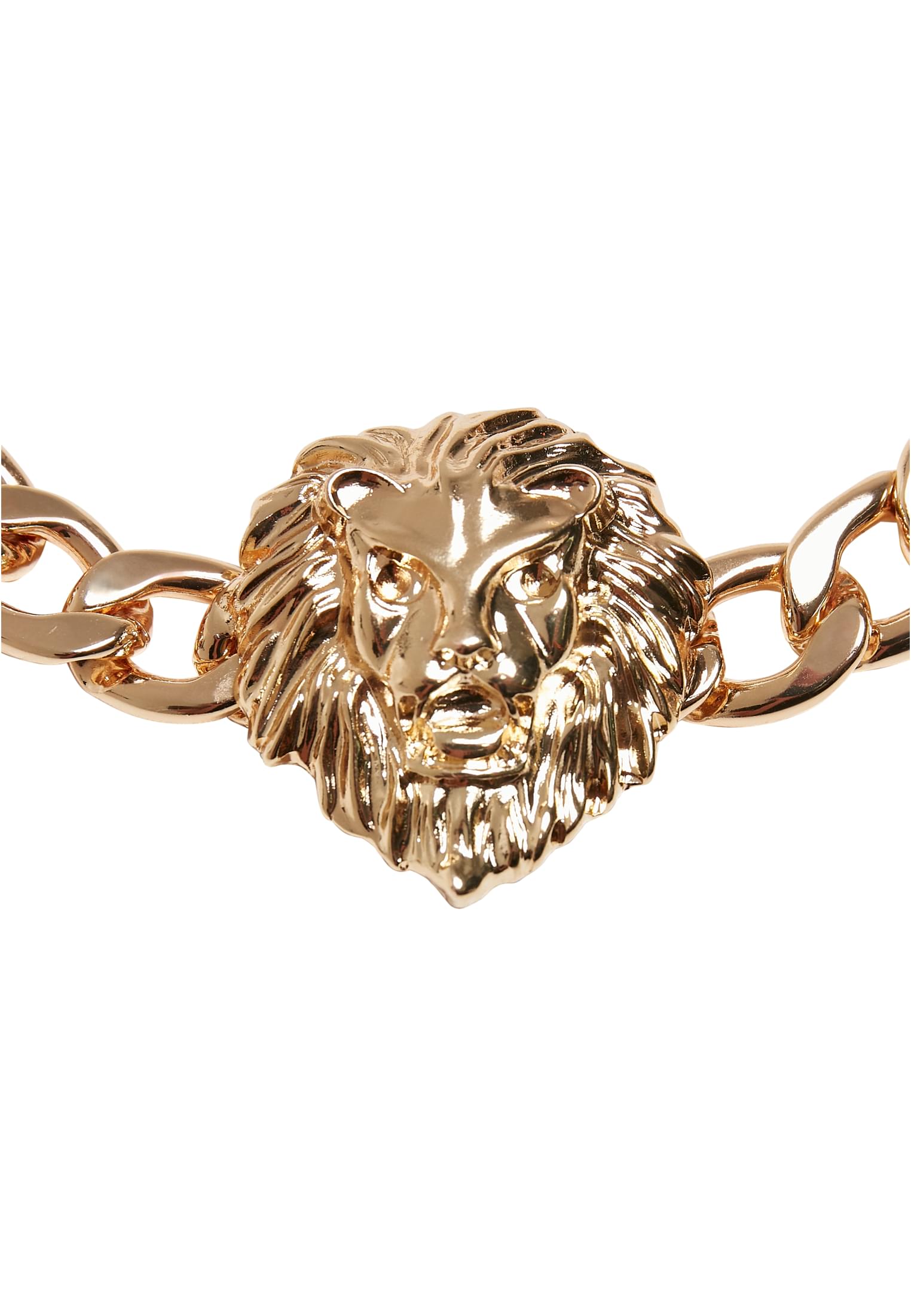 Lion Necklace | gold