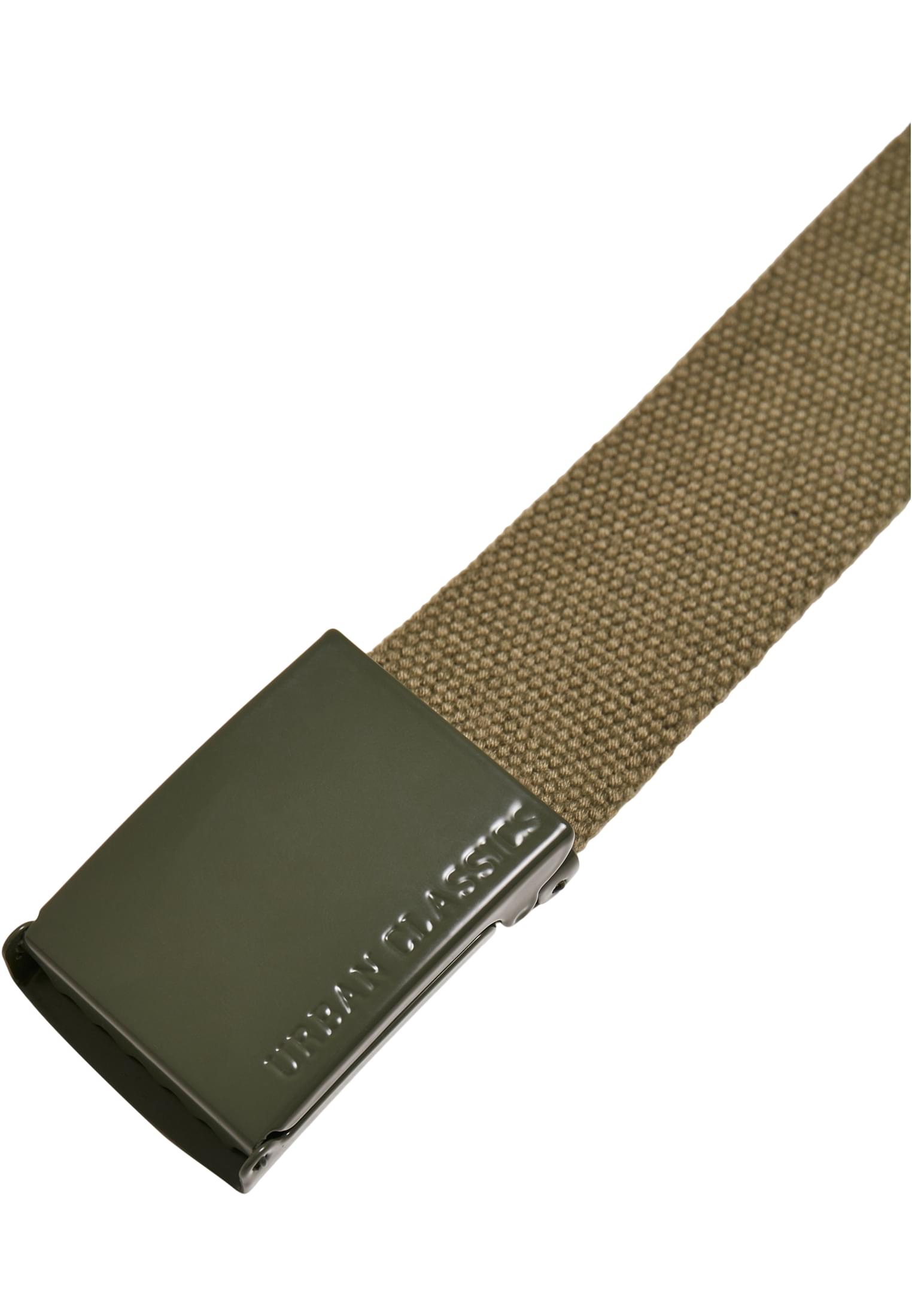 Coloured Buckle Canvas Belt | pebble