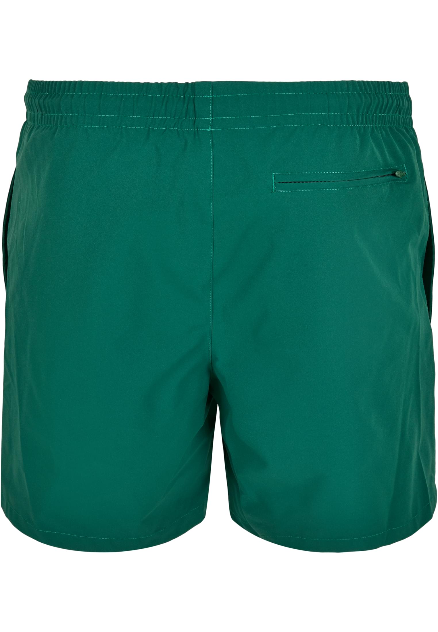 Elastic Swimshorts | treegreen