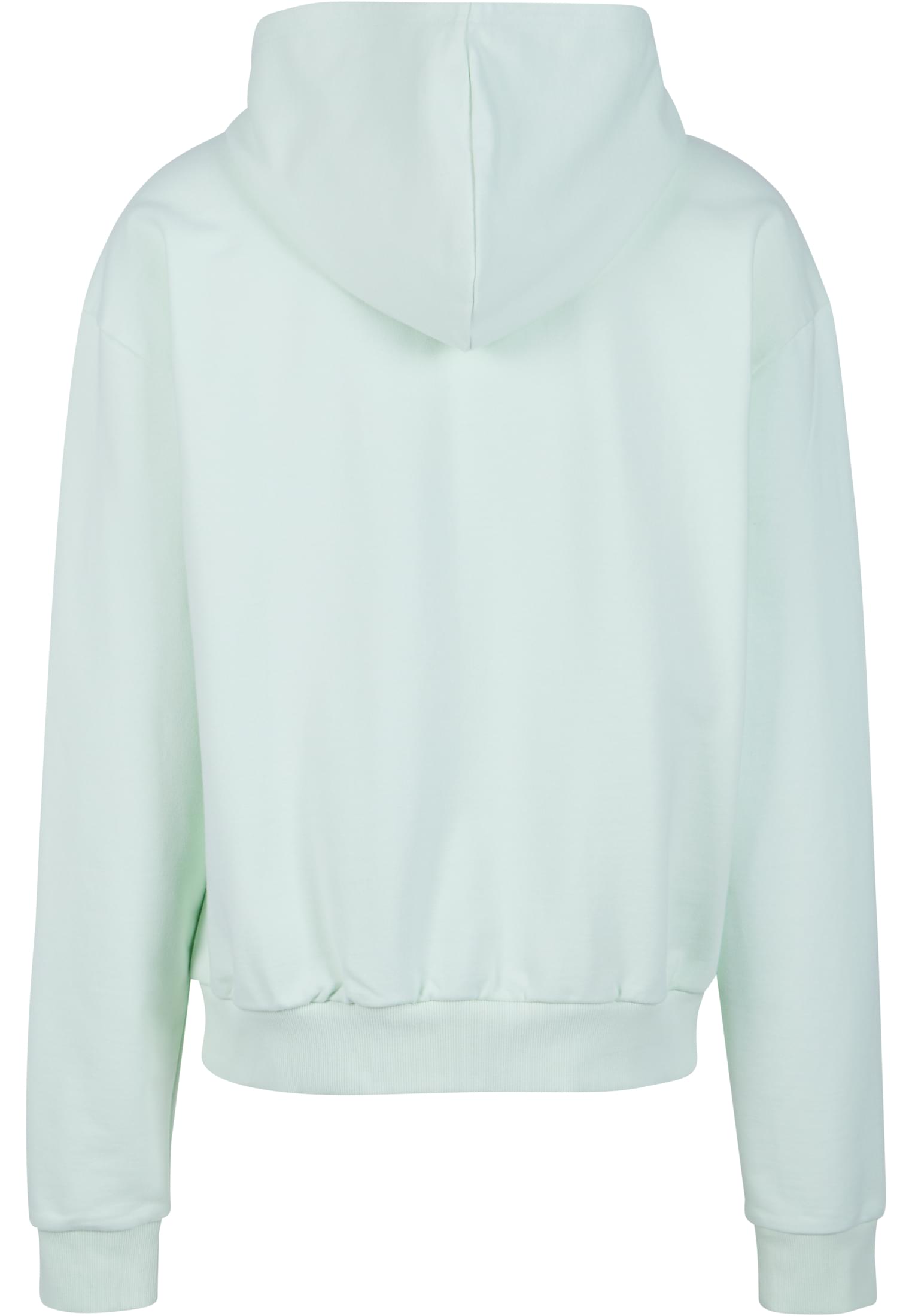 Ultra Heavy Hoody | lightmint