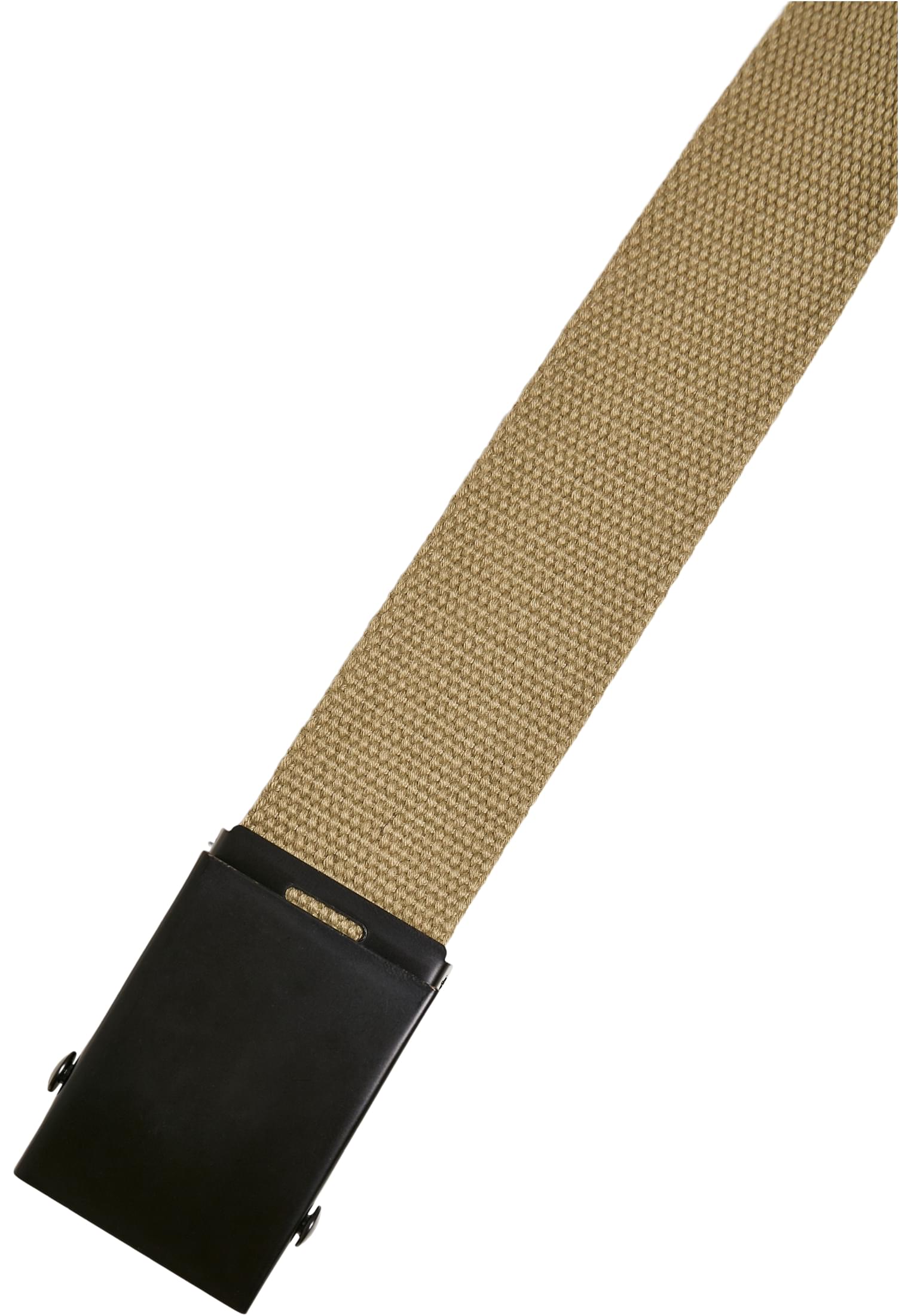 Check And Solid Canvas Belt 2-Pack | olive/black