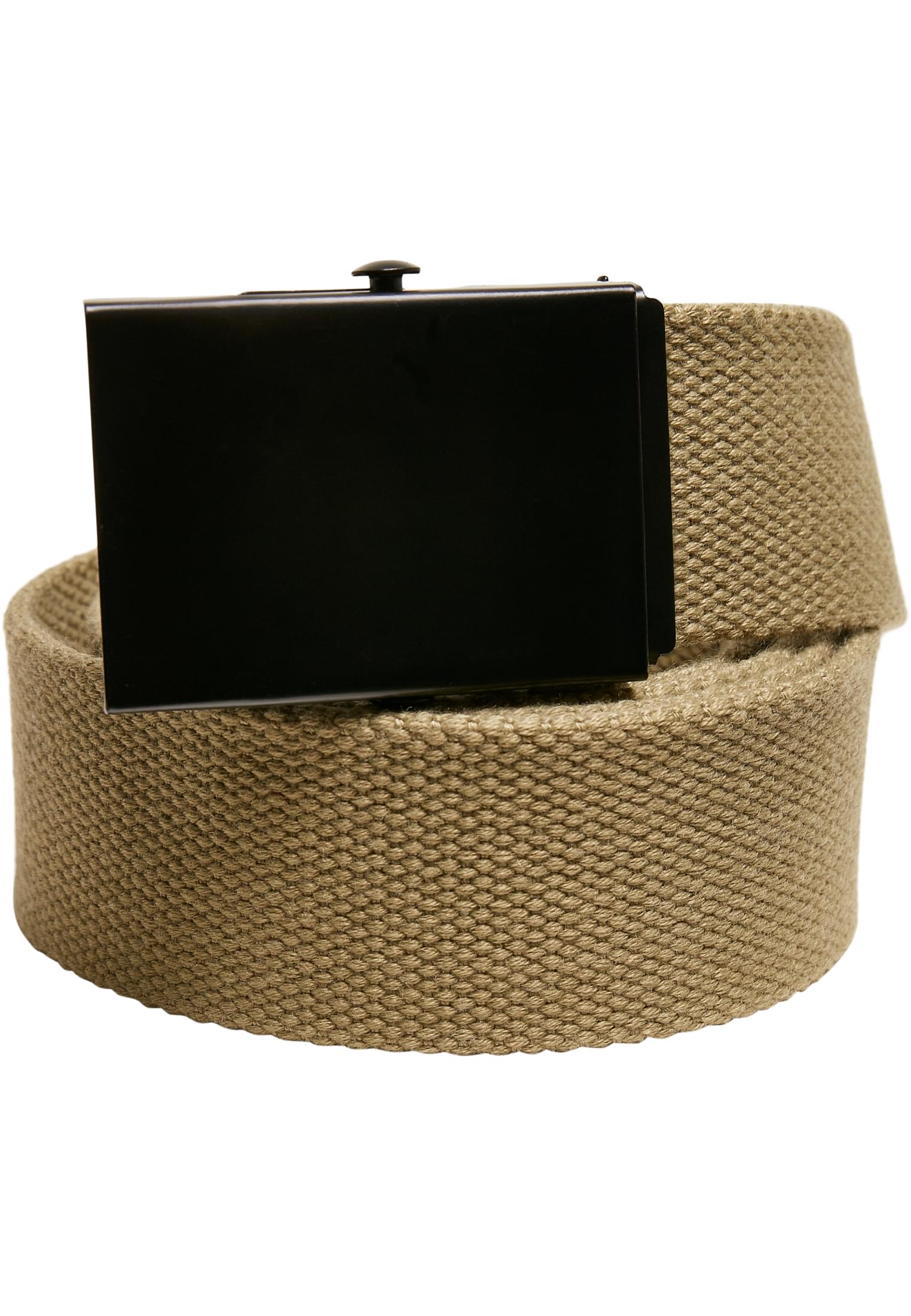 Check And Solid Canvas Belt 2-Pack | olive/black