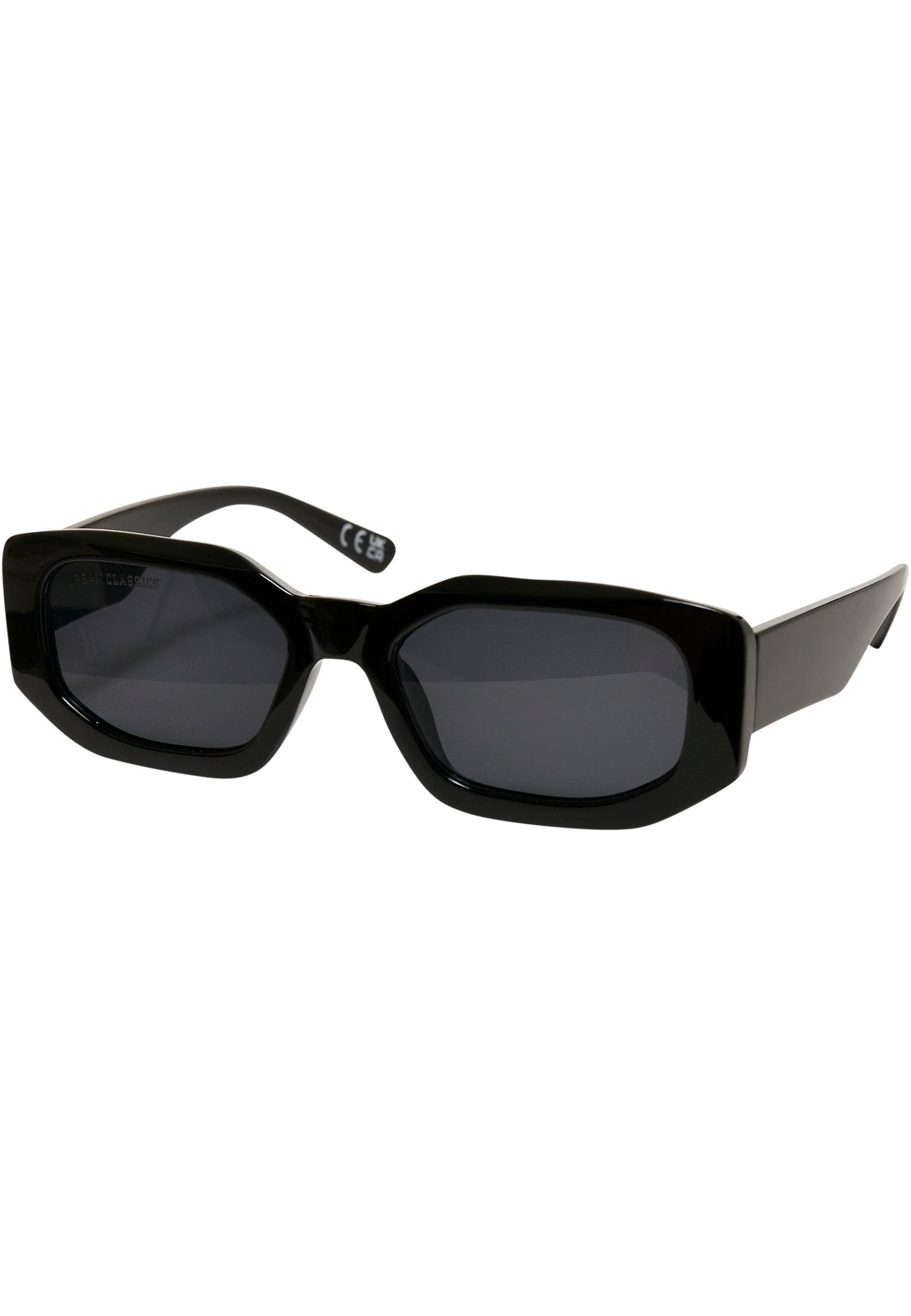 Sunglasses Santa Rosa | black