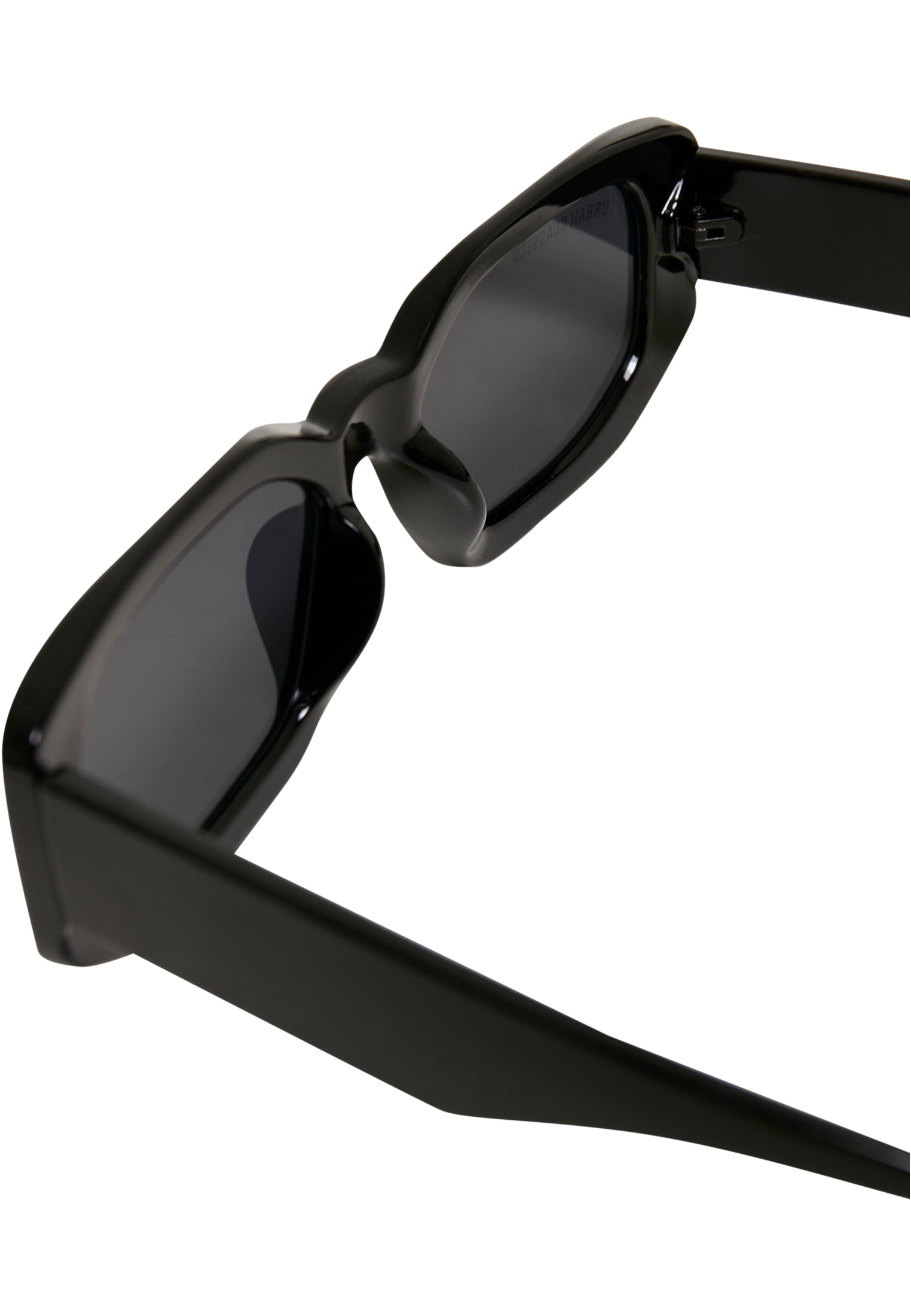 Sunglasses Santa Rosa | black