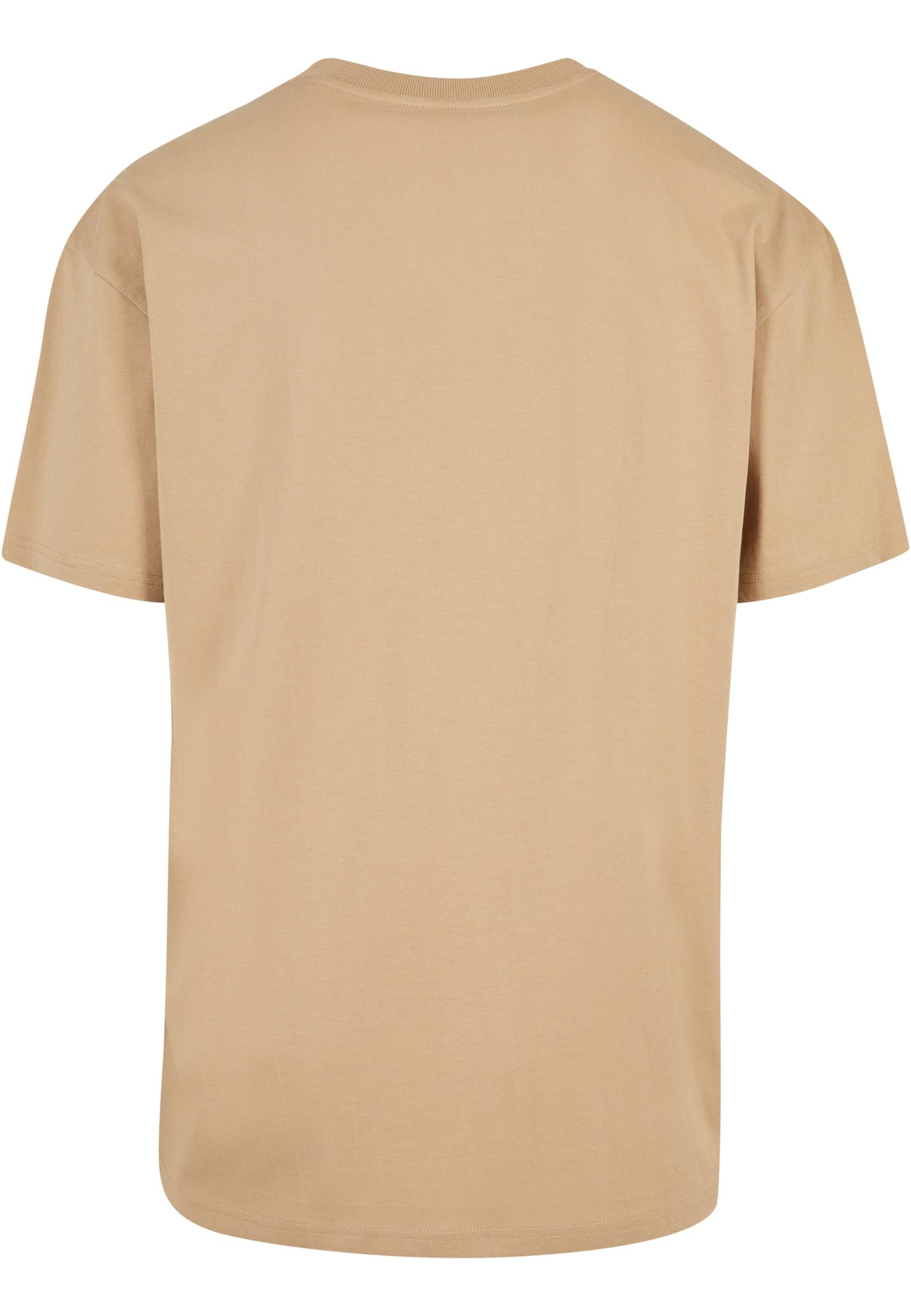 Organic Oversized V-Neck Tee | unionbeige