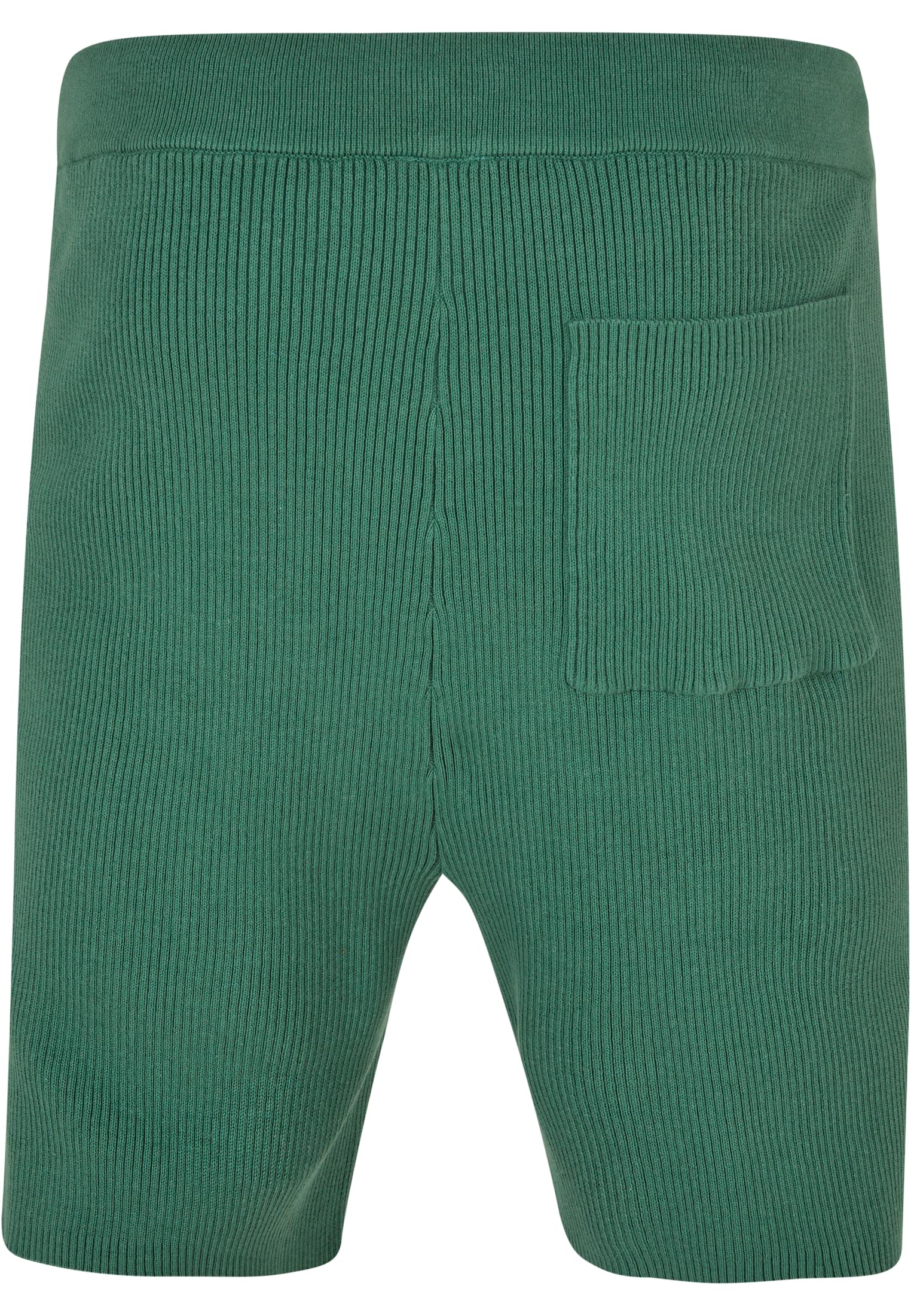 Ribbed Shorts | leaf