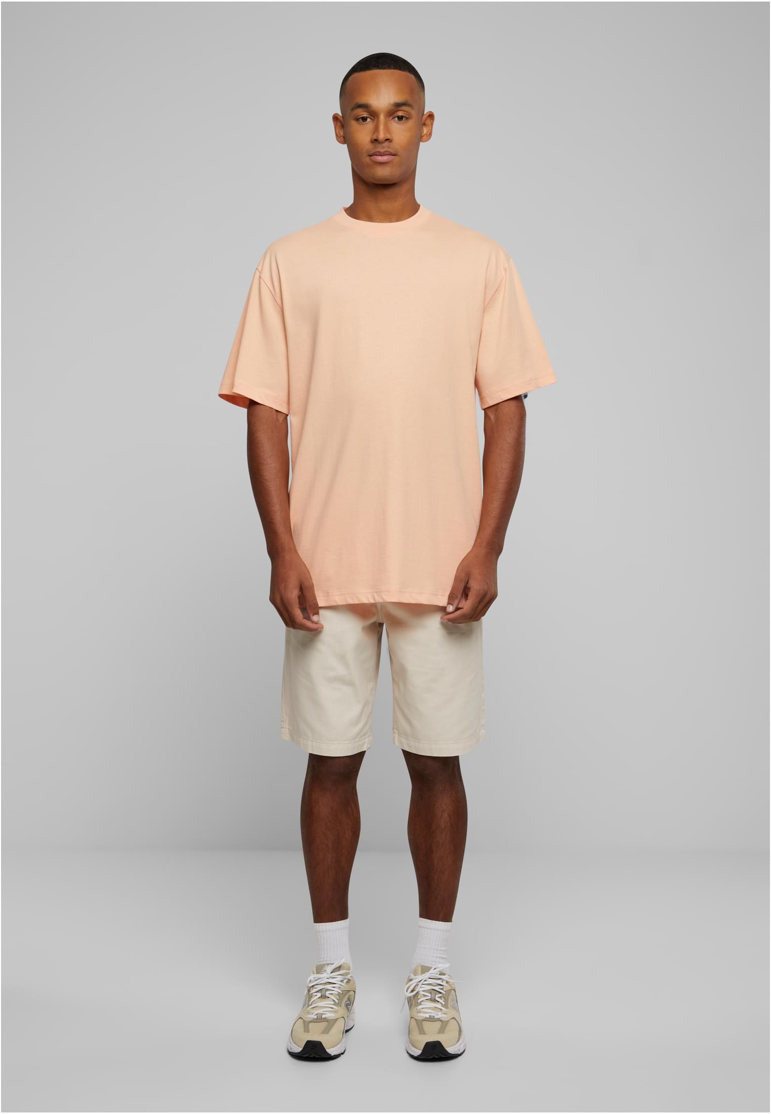 Organic Skater Chino Shorts | cloud