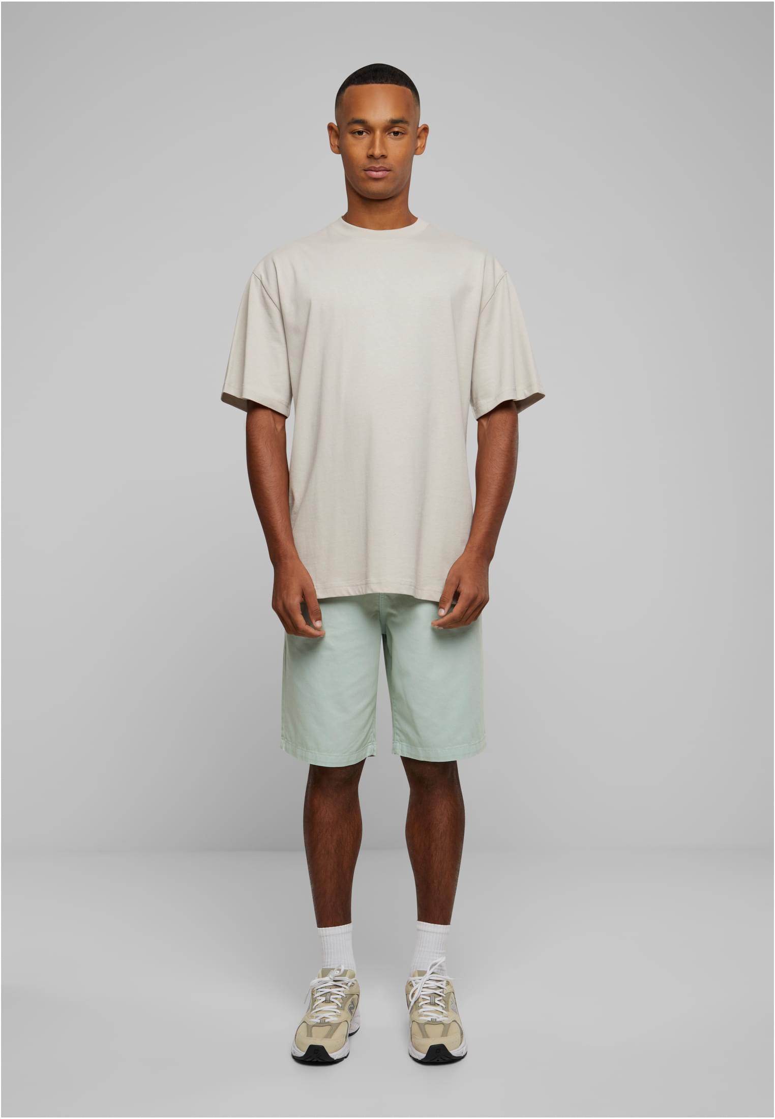 Organic Skater Chino Shorts | frostmint