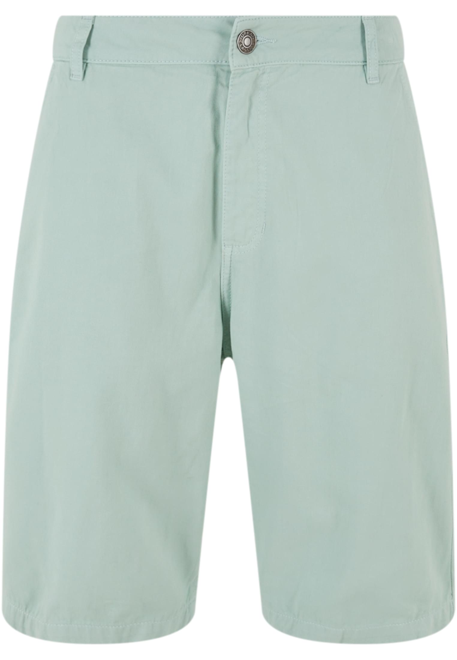 Organic Skater Chino Shorts | frostmint