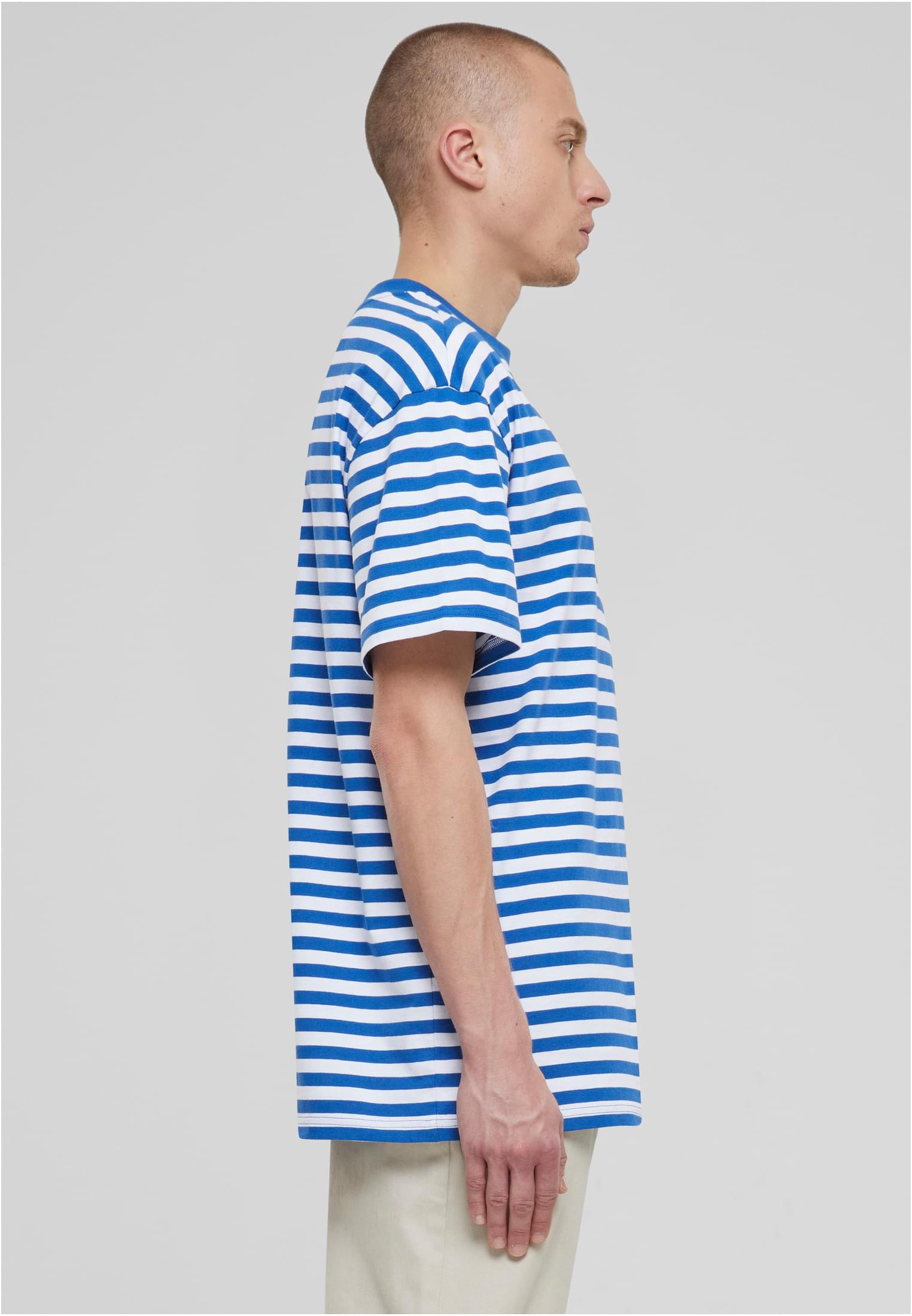 Regular Stripe Tee | white/royal