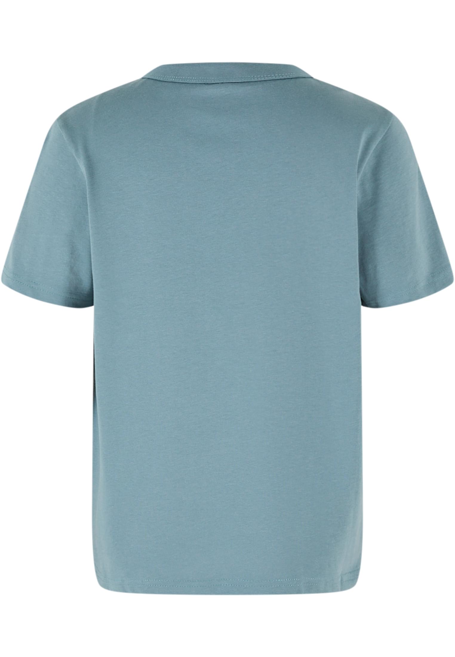 Boys Organic Basic Tee | paleleaf